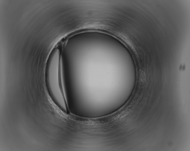 X0000088880980200706291559