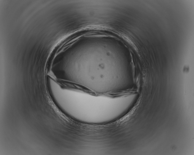 X0000088880981200706291559