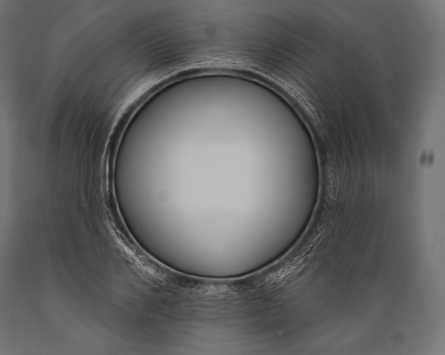 X0000088880982200706291559