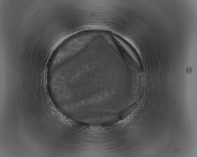 X0000088880983200706291559