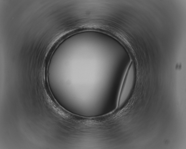 X0000088880984200706291559