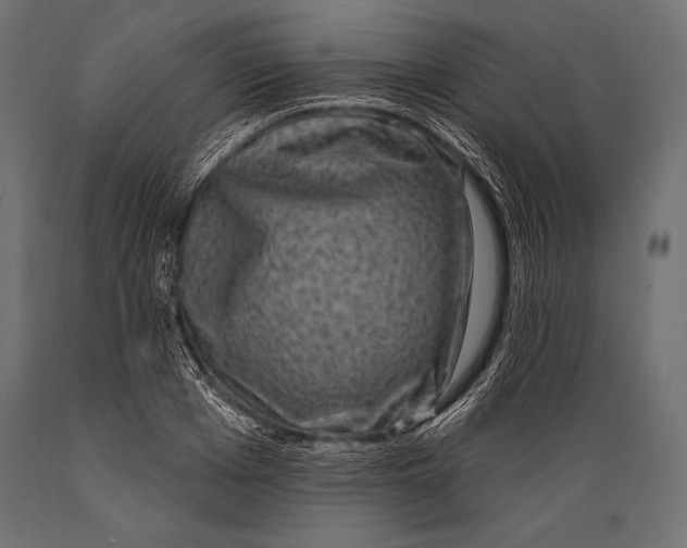 X0000088880985200706291559