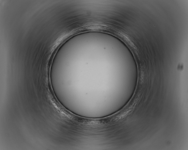 X0000088880986200706291559