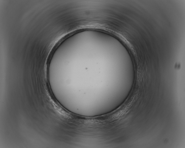 X0000088880988200706291559