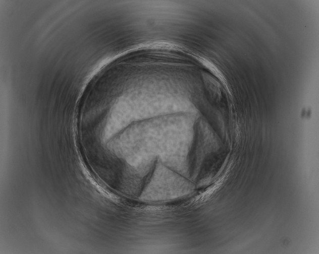 X0000088880989200706291559