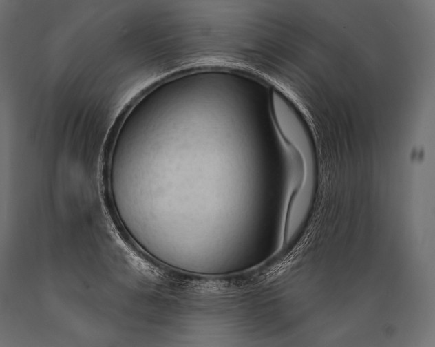 X0000088880991200706291559