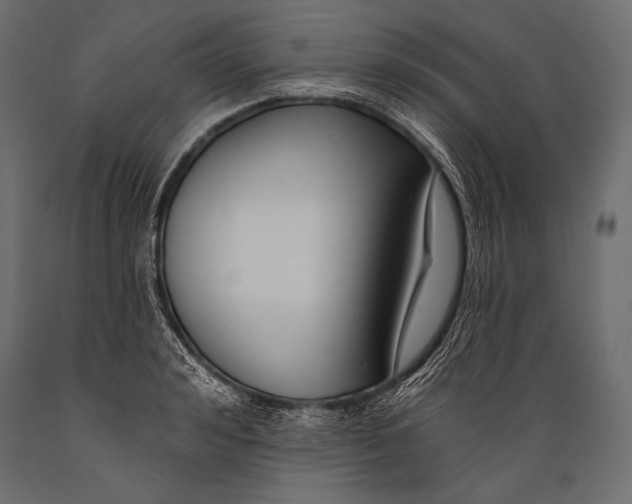 X0000088880992200706291559