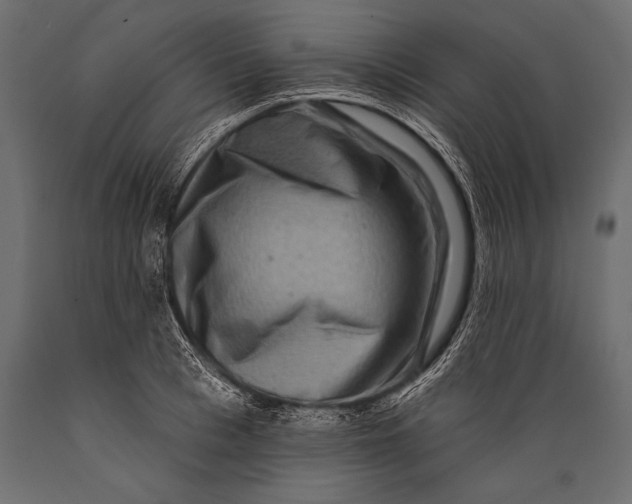 X0000088880993200706291559