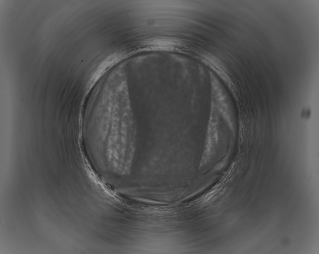 X0000088880994200706291559