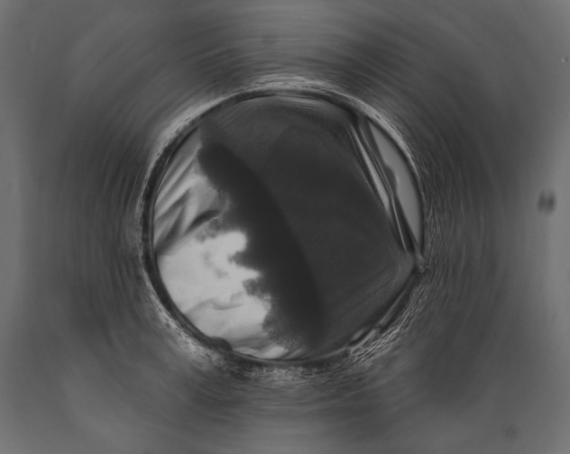 X0000088880995200706291559