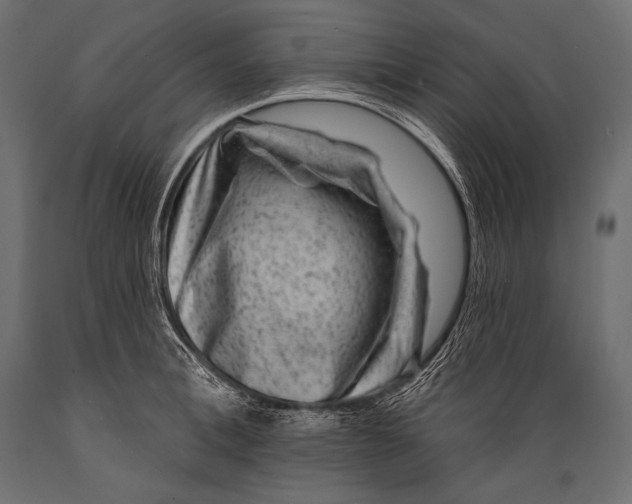 X0000088880996200706291559