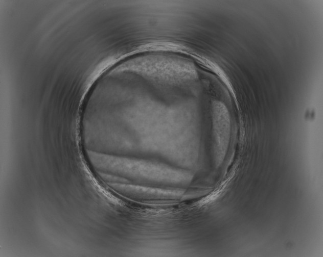 X0000088880997200706291559