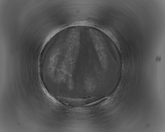 X0000088880998200706291559