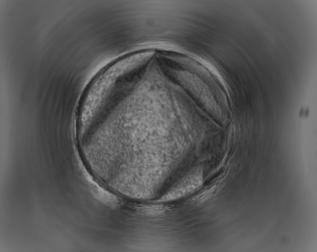 X0000088880999200706291559