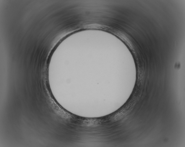 X0000088881000200706291559