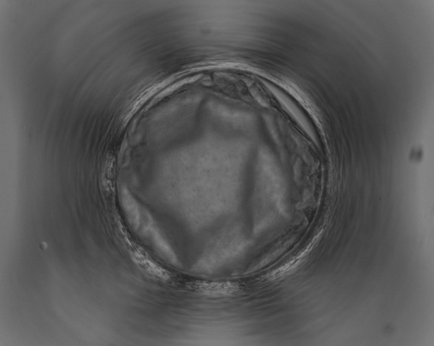 X0000088881001200706291559