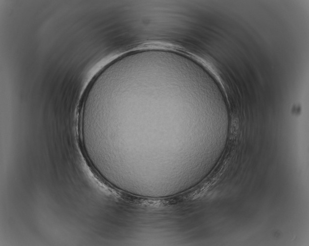 X0000088881003200706291559