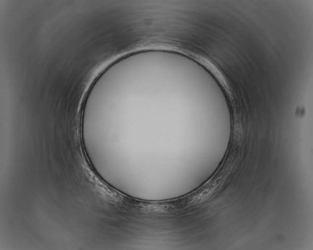 X0000088881004200706291559