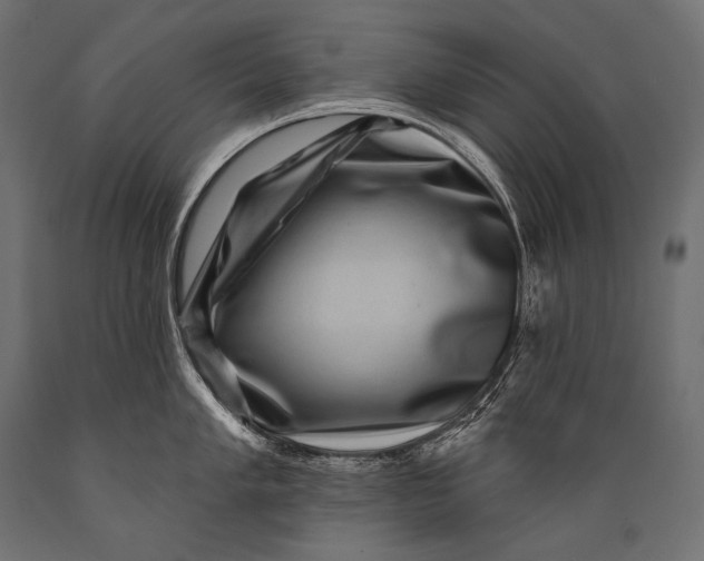 X0000088881005200706291559