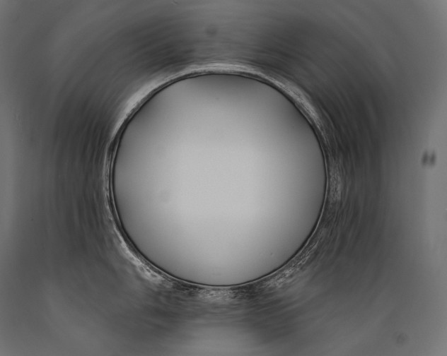 X0000088881006200706291559