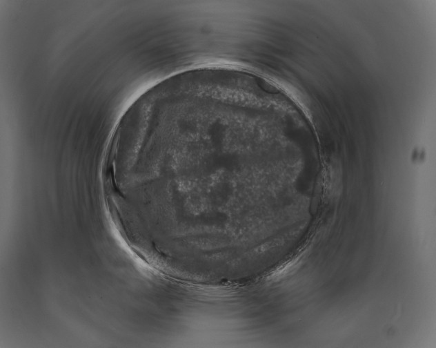 X0000088881007200706291559