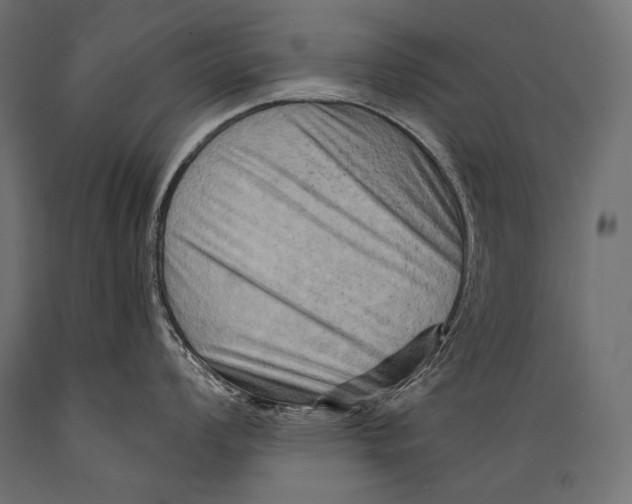 X0000088881008200706291559