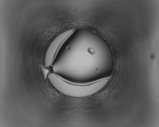 X0000088881010200706291558