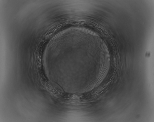 X0000088881013200706291558