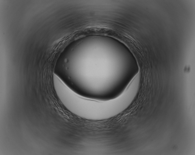 X0000088881014200706291558