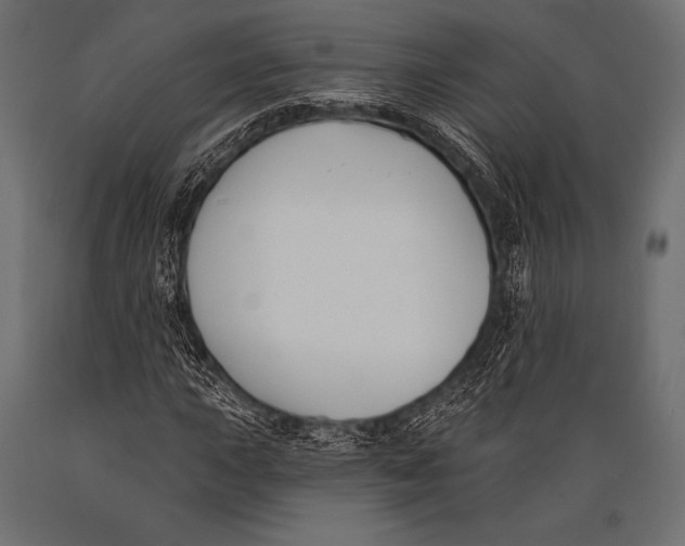 X0000088881015200706291558