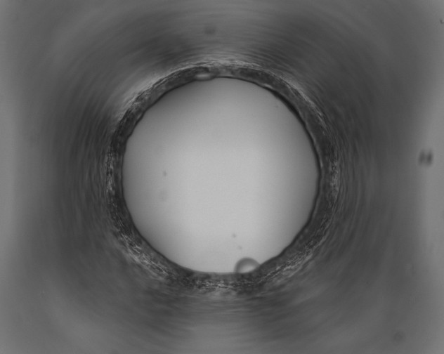 X0000088881016200706291558