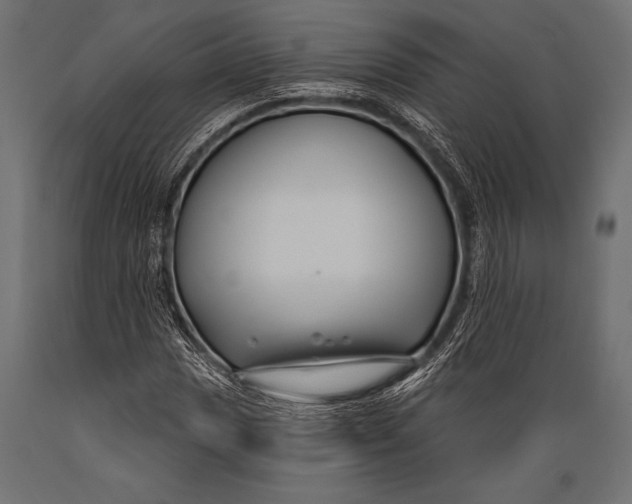 X0000088881017200706291558