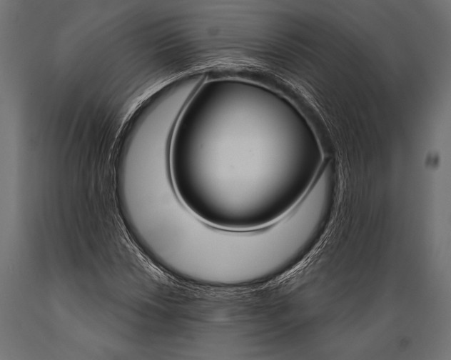 X0000088881018200706291558