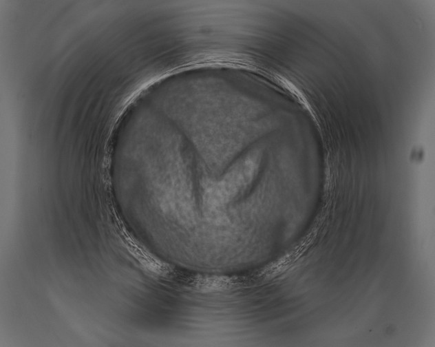 X0000088881019200706291558