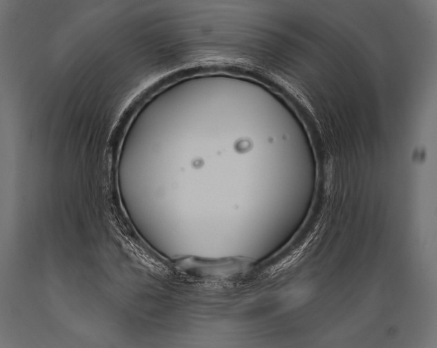 X0000088881021200706291558