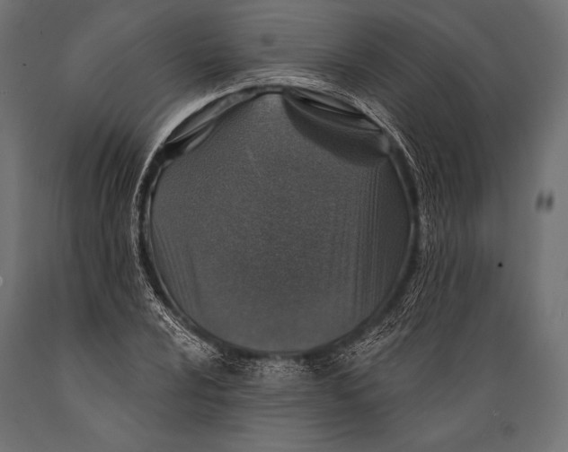 X0000088881024200706291558