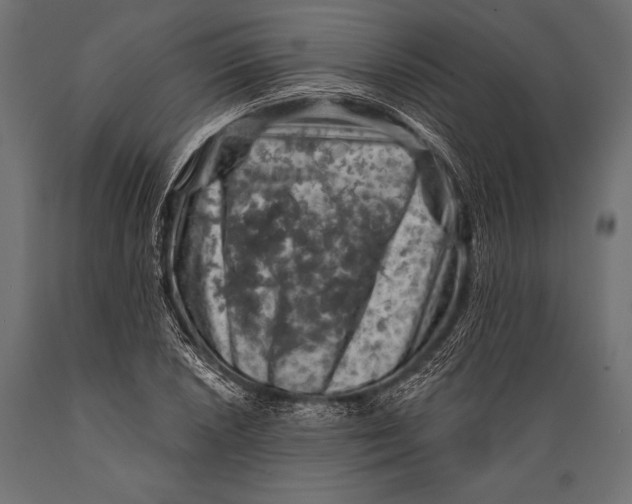 X0000088881026200706291558