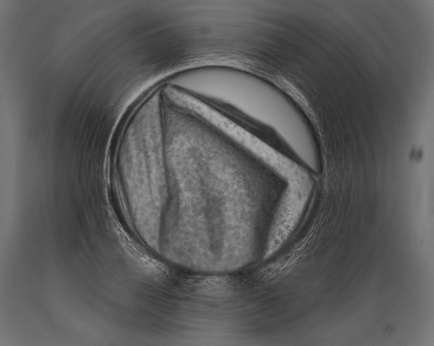 X0000088881028200706291558