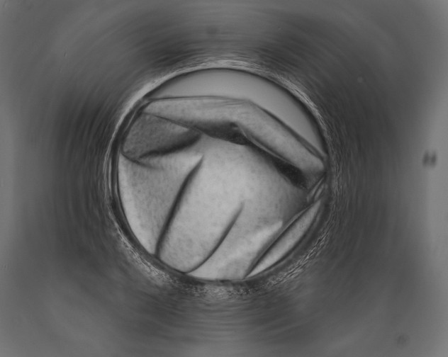 X0000088881032200706291559