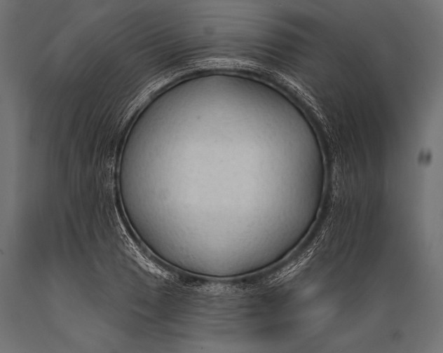 X0000088881033200706291559