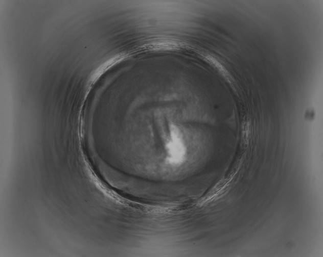 X0000088881034200706291559