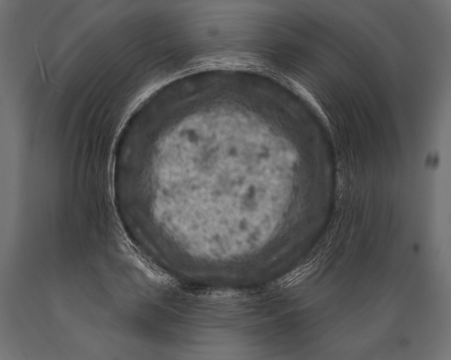 X0000088881035200706291559