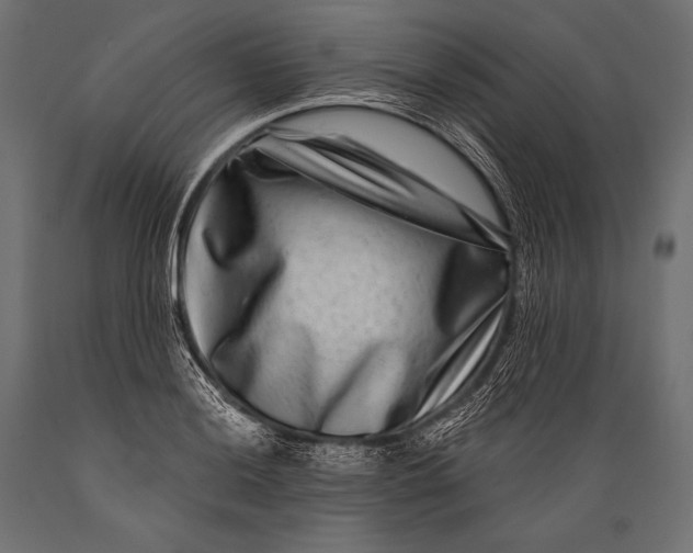 X0000088881036200706291559