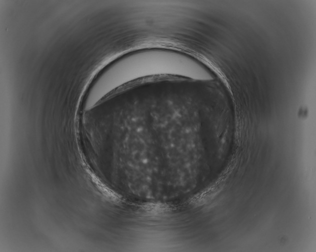 X0000088881037200706291559