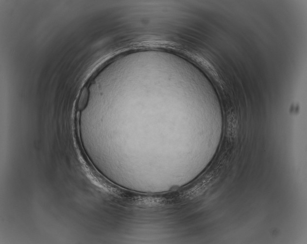 X0000088881039200706291559