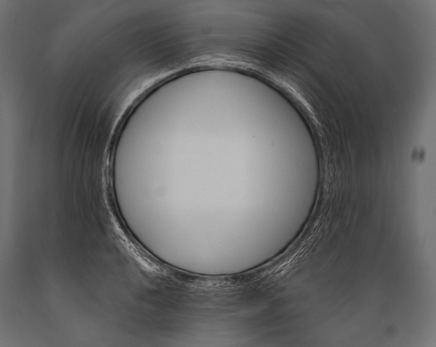 X0000088881040200706291559