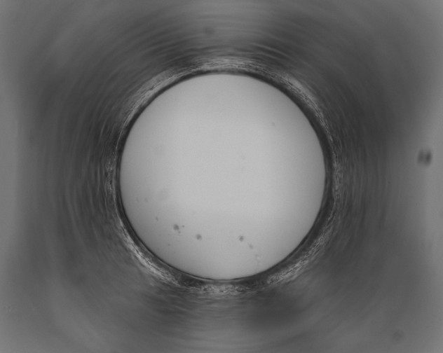 X0000088881041200706291559