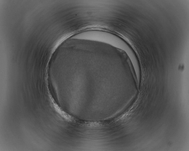 X0000088881042200706291559