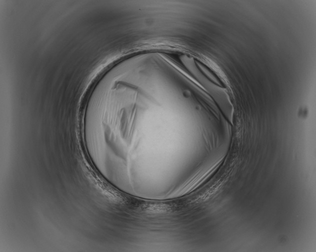 X0000088881043200706291559