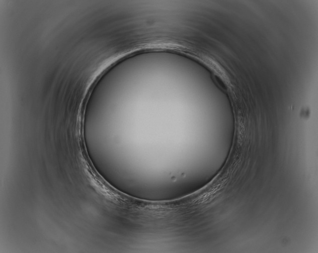 X0000088881044200706291559